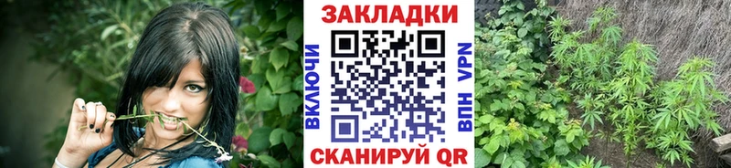 Где продают наркотики Вязьма Каннабис КОКАИН mega ССЫЛКА Меф мяу мяу