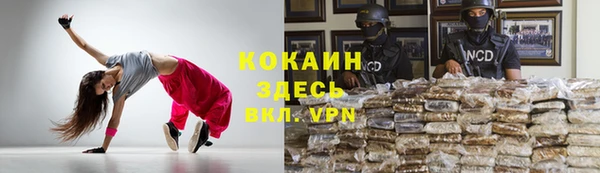 соль курить ск Гвардейск
