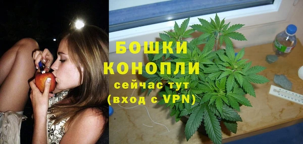гидра Протвино
