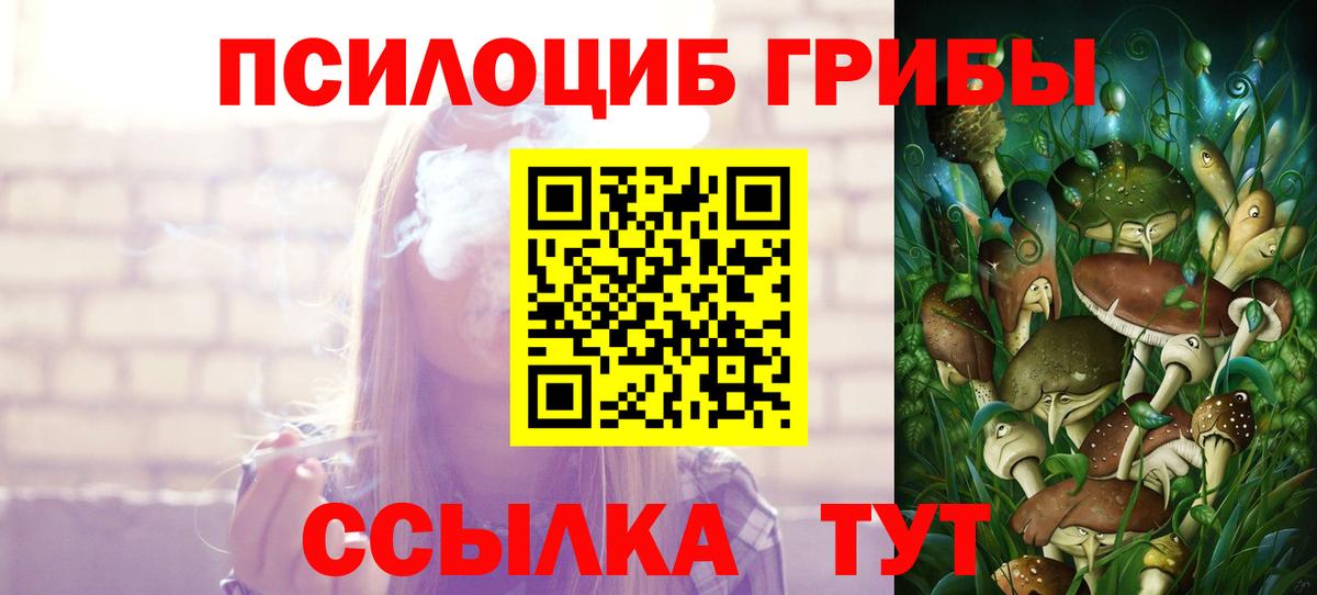 Псилоцибиновые грибы Psilocybe Вязьма