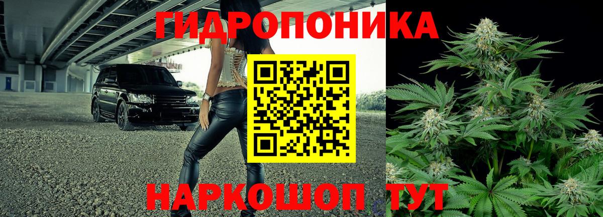 Вязьма  Шишки марихуана тримм  Шишки марихуана THC 21%  Вход с VPN  Бошки марихуана MAZAR  Бошки марихуана Bruce Banner 